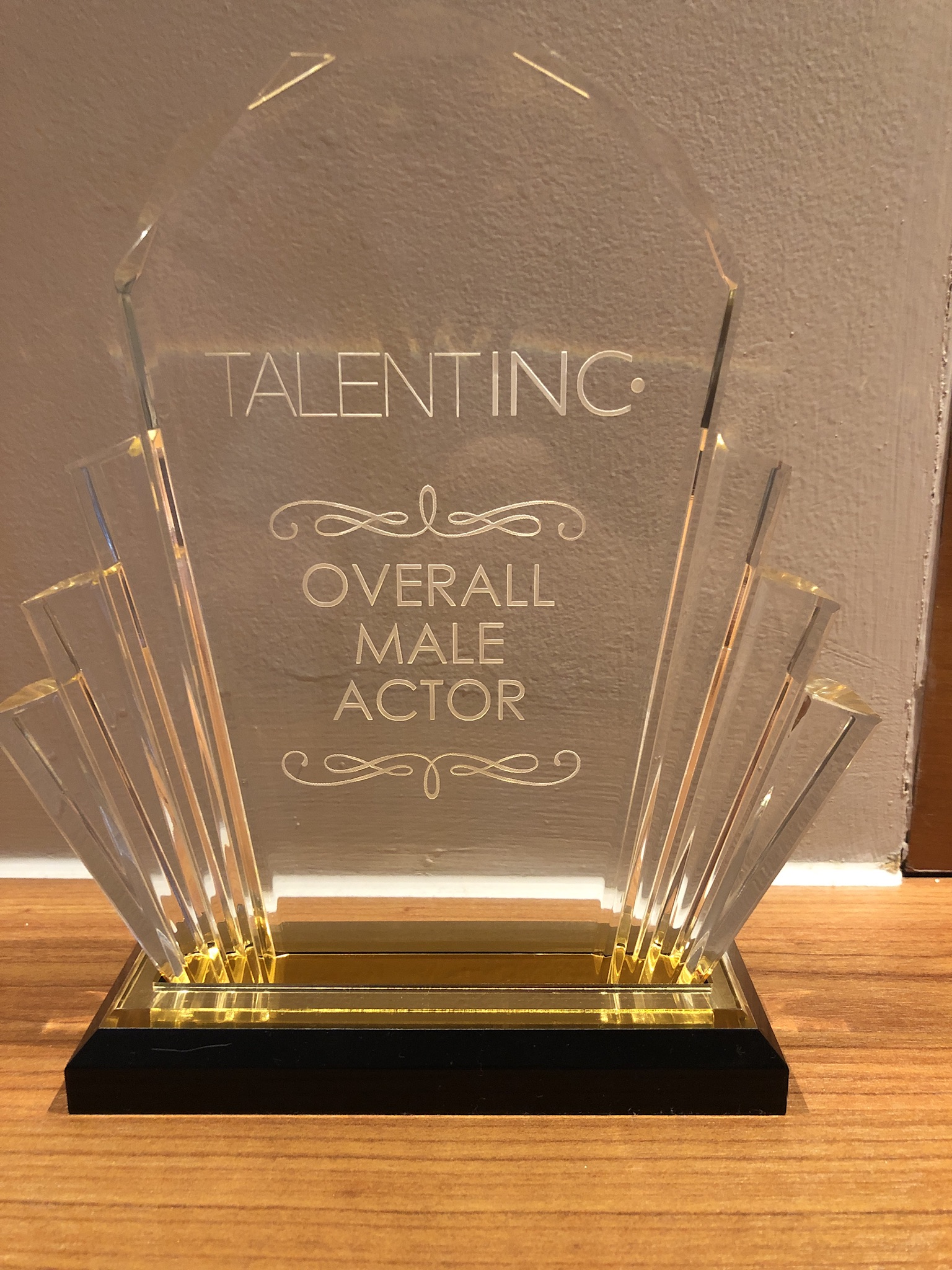 Overall best male actor - Talent inc showcase 