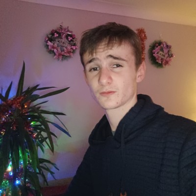 user image